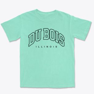 Du Bois Illinois Inline Premium Heavyweight T-shirt