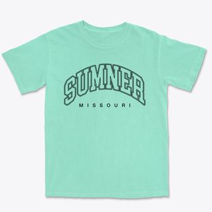 Sumner Missouri Inline Premium Heavyweight T-shirt