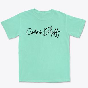 Cedar Bluff Mississippi Freestyle Premium Heavyweight T-shirt