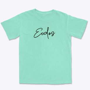 Eccles Idaho Freestyle Premium Heavyweight T-shirt