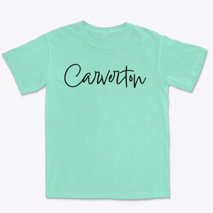 Carverton Pennsylvania Freestyle Premium Heavyweight T-shirt