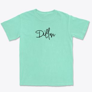 Dillon Missouri Freestyle Premium Heavyweight T-shirt