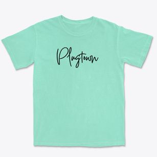 Plugtown Wisconsin Freestyle Premium Heavyweight T-shirt