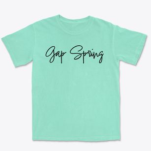 Gap Spring Tennessee Freestyle Premium Heavyweight T-shirt