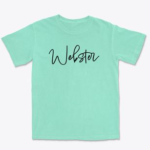 Webster South Dakota Freestyle Premium Heavyweight T-shirt