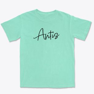 Antis Pennsylvania Freestyle Premium Heavyweight T-shirt