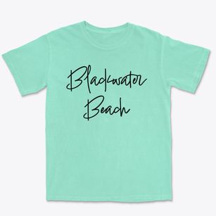 Blackwater Beach Delaware Freestyle Premium Heavyweight T-shirt