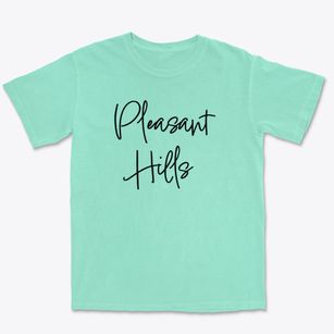 Pleasant Hills Pennsylvania Freestyle Premium Heavyweight T-shirt