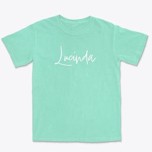 Lucinda Pennsylvania Freestyle Premium Heavyweight T-shirt