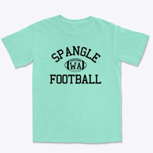 Spangle Washington Football Premium Heavyweight T-shirt