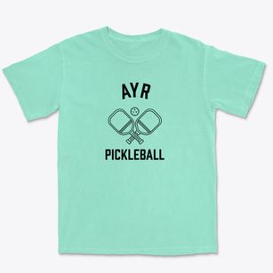 Ayr Michigan Pickleball Premium Heavyweight T-shirt