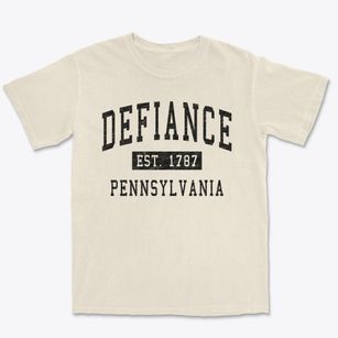 Defiance Pennsylvania Classic Established Premium Heavyweight T-shirt