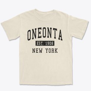 Oneonta New York Classic Established Premium Heavyweight T-shirt