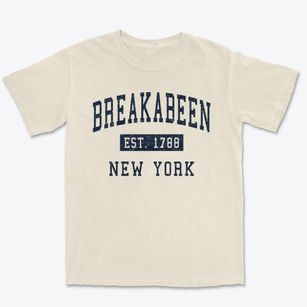 Breakabeen New York Classic Established Premium Heavyweight T-shirt