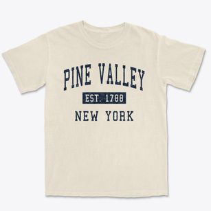 Pine Valley New York Classic Established Premium Heavyweight T-shirt