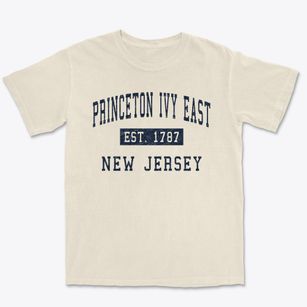 Princeton Ivy East New Jersey Classic Established Premium Heavyweight T-shirt