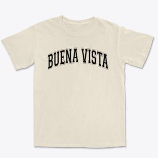 Buena Vista Opportunity School Varsity Arch Premium Heavyweight T-shirt