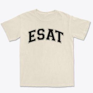 Esat High School Varsity Arch Premium Heavyweight T-shirt