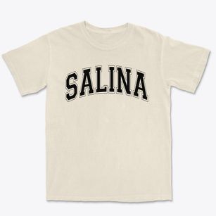 Salina Alternative School Varsity Arch Premium Heavyweight T-shirt