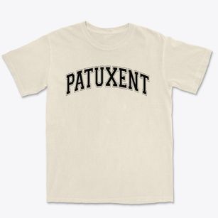 Patuxent Elementary School Varsity Arch Premium Heavyweight T-shirt