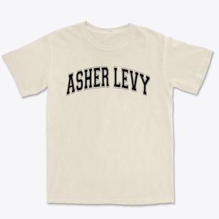 Ps 19 Asher Levy Varsity Arch Premium Heavyweight T-shirt