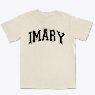 Is 394 Mary Mcleod Bethune Varsity Arch Premium Heavyweight T-shirt