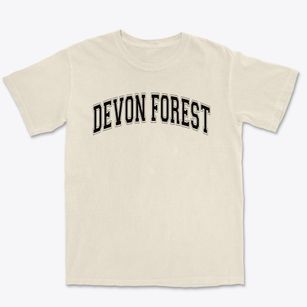 Devon Forest Elementary School Varsity Arch Premium Heavyweight T-shirt