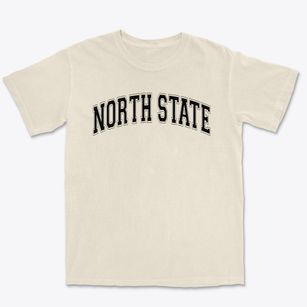 North State Independence High School Varsity Arch Premium Heavyweight T-shirt