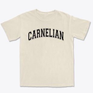 Carnelian Elementary School Varsity Arch Premium Heavyweight T-shirt