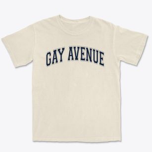 Gay Avenue Primary School Varsity Arch Premium Heavyweight T-shirt