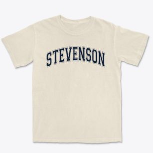 Stevenson Elementary School Varsity Arch Premium Heavyweight T-shirt