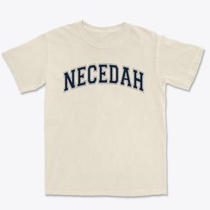 Necedah Area School Varsity Arch Premium Heavyweight T-shirt