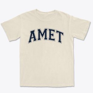 Amet Academy Varsity Arch Premium Heavyweight T-shirt