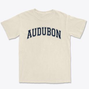 Audubon Elementary School Varsity Arch Premium Heavyweight T-shirt