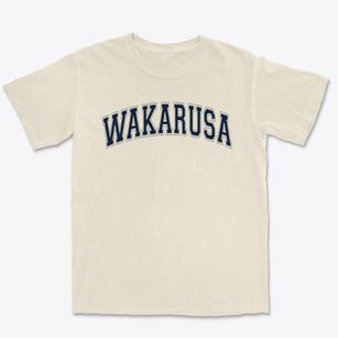Wakarusa Elementary School Varsity Arch Premium Heavyweight T-shirt