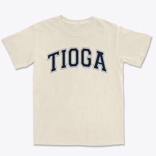 Tioga Center Christian School Varsity Arch Premium Heavyweight T-shirt