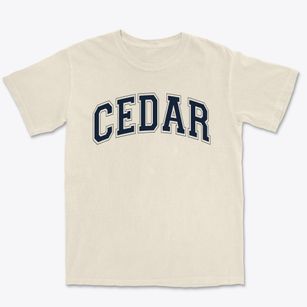 Cedar Elementary School Varsity Arch Premium Heavyweight T-shirt