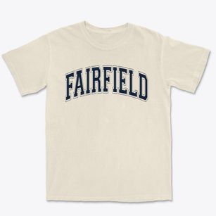 Fairfield Elementary School Varsity Arch Premium Heavyweight T-shirt