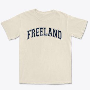 Freeland Elementary School Varsity Arch Premium Heavyweight T-shirt