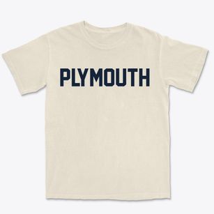 Plymouth New York Classic Block Premium Heavyweight T-shirt