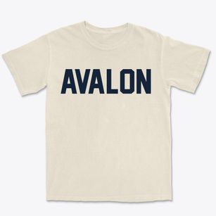 Avalon New Jersey Classic Block Premium Heavyweight T-shirt