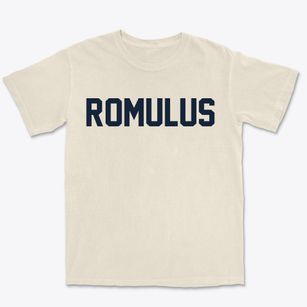 Romulus Michigan Classic Block Premium Heavyweight T-shirt