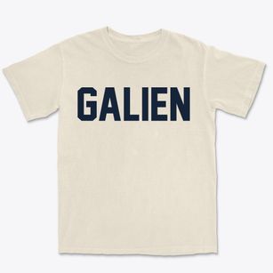 Galien Michigan Classic Block Premium Heavyweight T-shirt