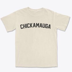 Chickamauga Georgia Classic Curve Premium Heavyweight T-shirt