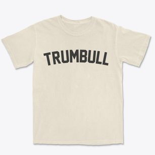 Trumbull Connecticut Classic Curve Premium Heavyweight T-shirt