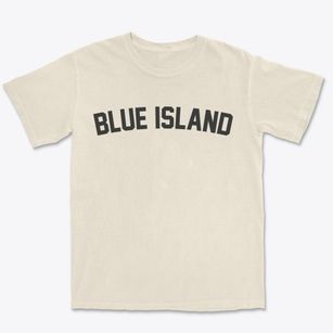 Blue Island Illinois Classic Curve Premium Heavyweight T-shirt