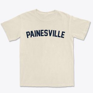 Painesville Ohio Classic Curve Premium Heavyweight T-shirt