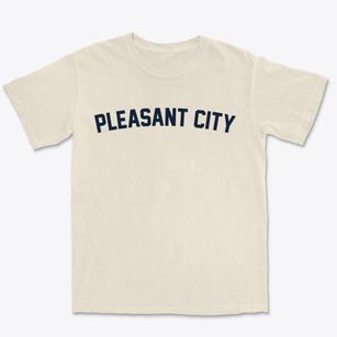 Pleasant City Ohio Classic Curve Premium Heavyweight T-shirt