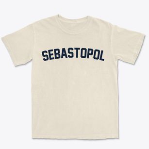 Sebastopol Mississippi Classic Curve Premium Heavyweight T-shirt