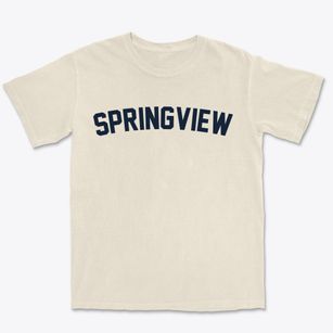 Springview Nebraska Classic Curve Premium Heavyweight T-shirt